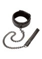  Boundless Collar & Leash 