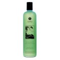  Shunga - Shower Gel Sensual Mint 500 ml 