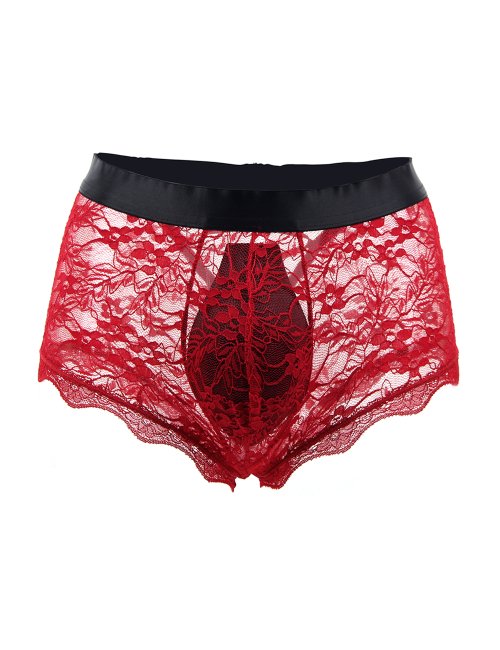 Sexy See-Through Men's Lingerie