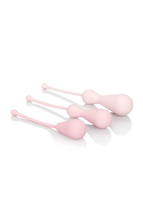 Inspire Weighted Kegel Training Kit