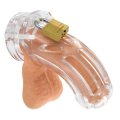  CB-X Chastity Cage - The Curve 