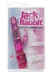 Jack Rabbit Rosa