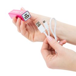 PalmPower - Plug & Play Wand Massager