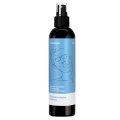  Satisfyer - Gentle Men Disinfectant Spray 300 ml 
