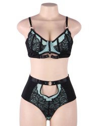 Exquisite Lace with Underwire Bra Set