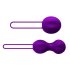  Nomi Tang - Intimate Kegel Exerciser Purple 