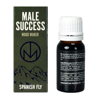  Male Success Mood Maker 
